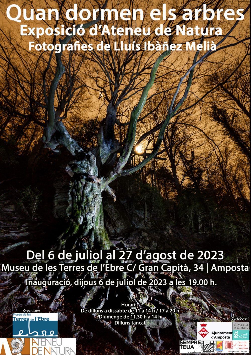 Exposici Quan dormen els arbres