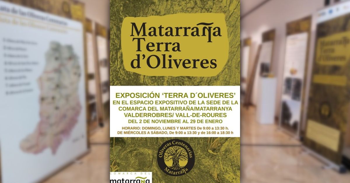 Exposici Terra doliveres