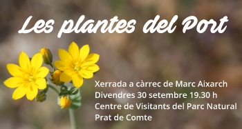 Exposici fotogrfica: Les Plantes dels Ports