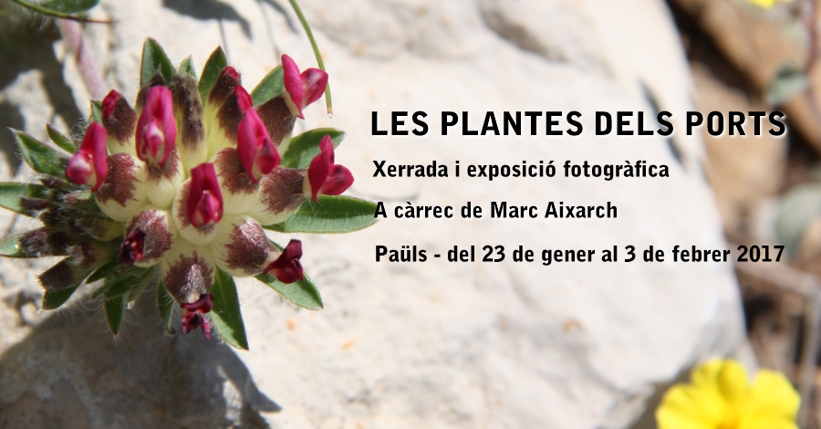 Xerrada i exposici fotogrfica: Les Plantes dels Ports