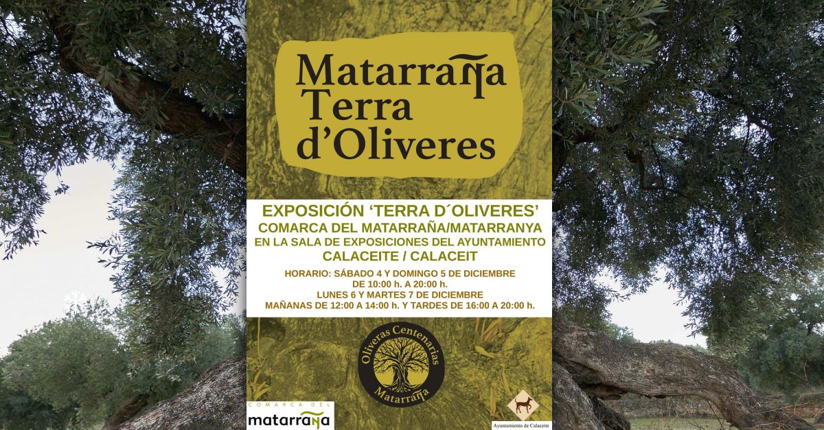 Exposici Matarranya, Terra d’oliveres