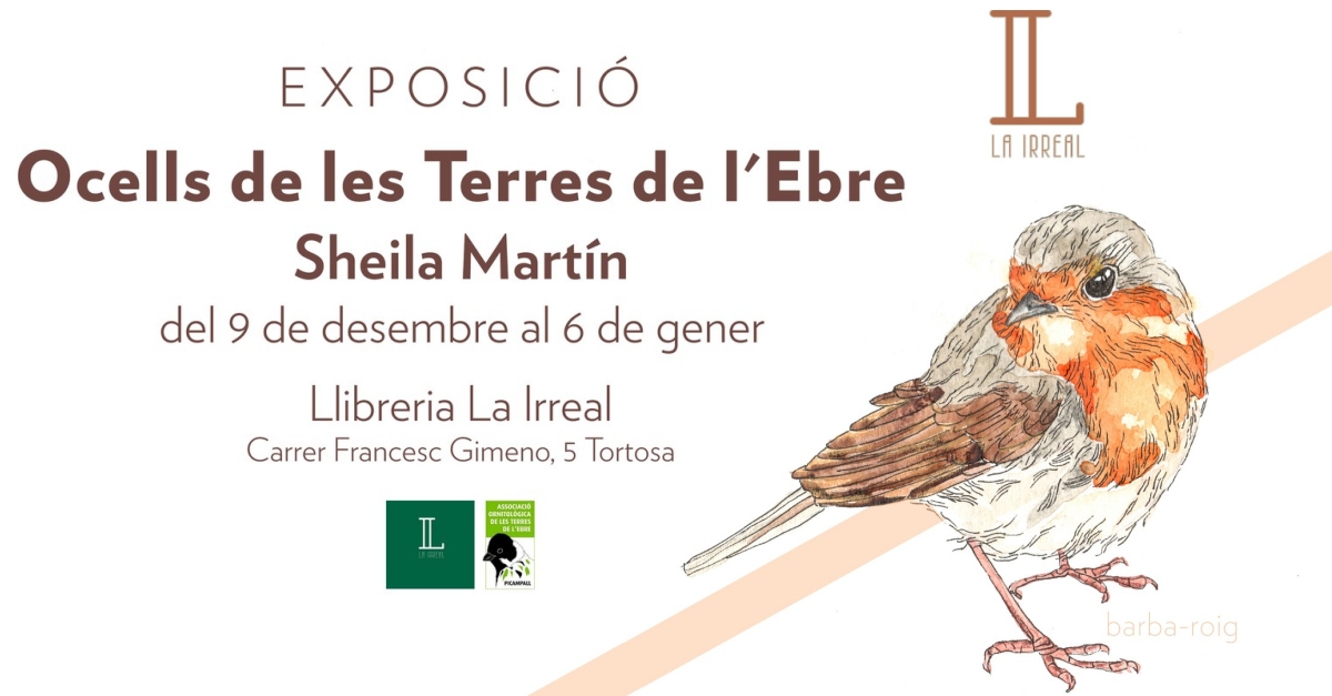 Exposicin ocells de les Terres de lEbre, Sheila Martn