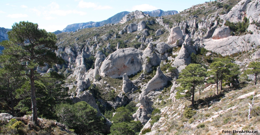 Una exposici permanent s’endinsa en els paisatges ferstecs del Parc Natural dels Ports | EbreActiu.cat, revista digital d’oci actiu | Terres de l’Ebre ...