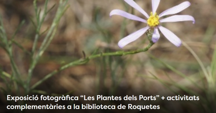 Exposicin fotogrfica Les Plantes dels Ports