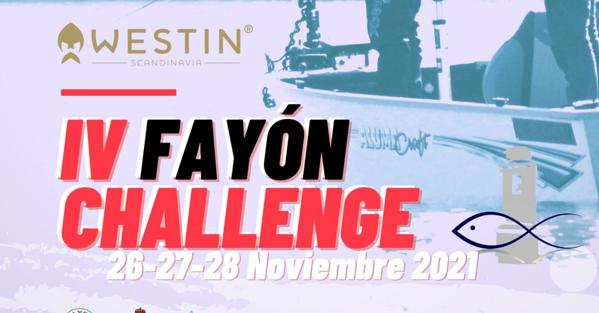 IV Fayn Challenge