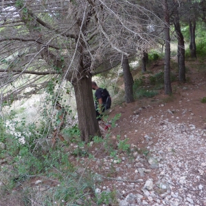 Via ferrada de Roca Blanca