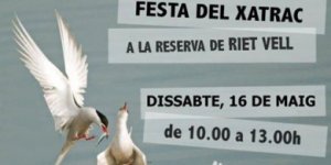 Festa del xatrac a Riet Vell