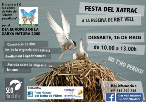 Festa del xatrac a Riet Vell