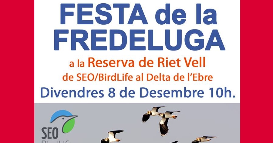 Festa de la Fredeluga