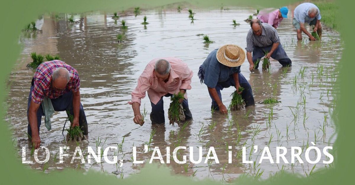 Festa de la Plantada de lArrs a lAldea