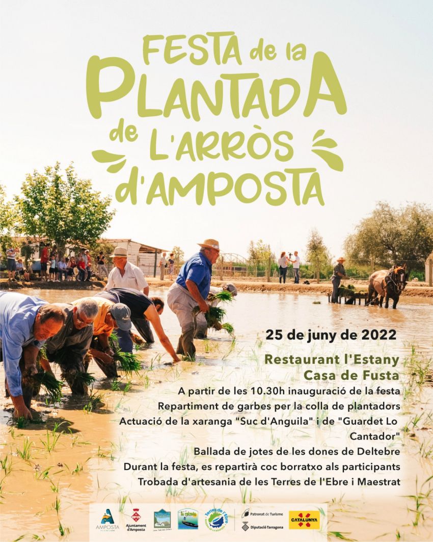 Festa de la Plantada de lArrs a Amposta