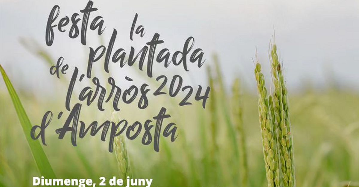 Festa de la Plantada de lArrs 2024 - Amposta