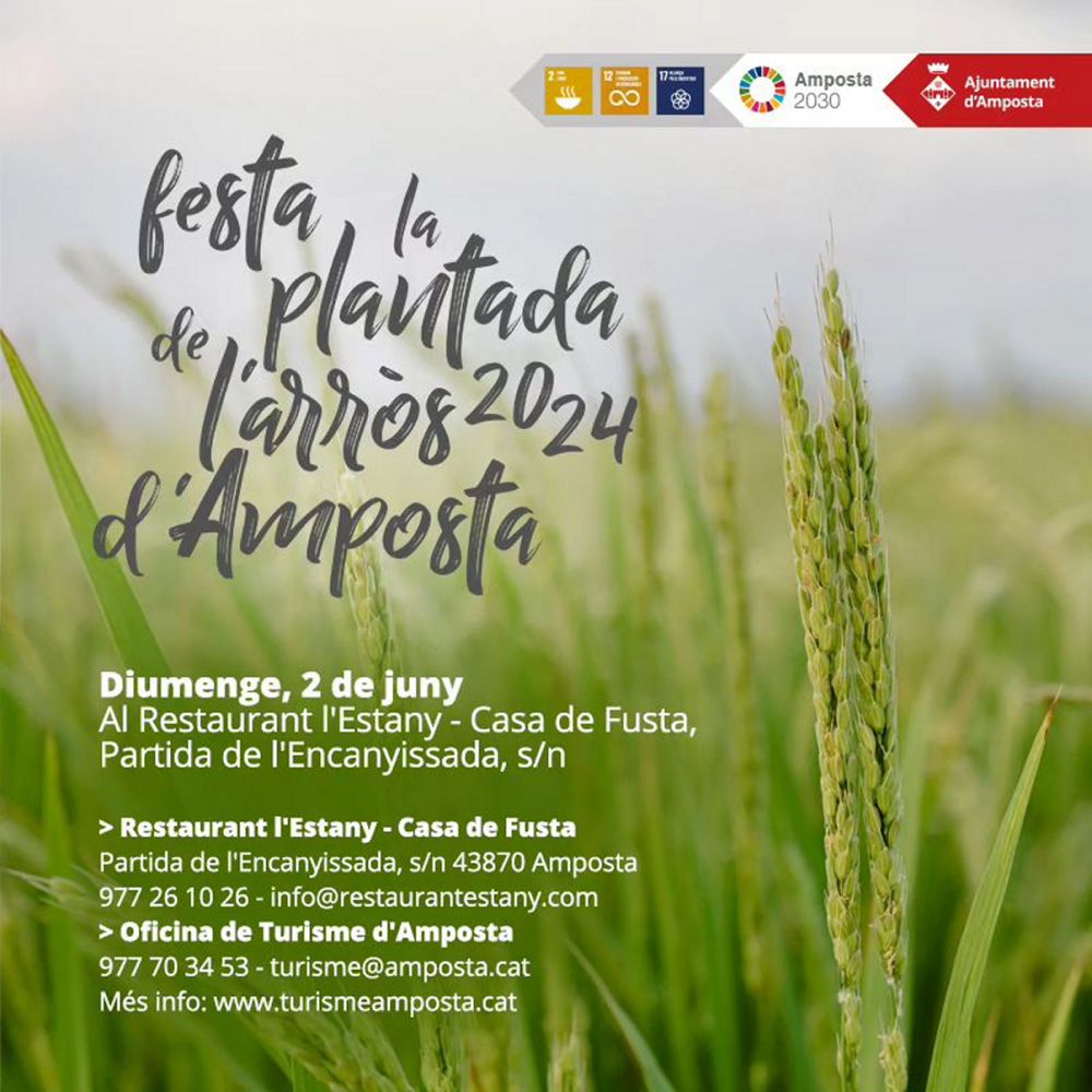 Festa de la Plantada de lArrs 2024 - Amposta