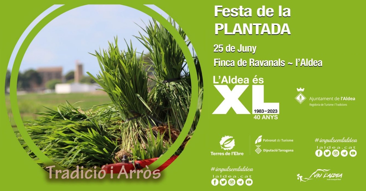 Festa de la Plantada de larrs