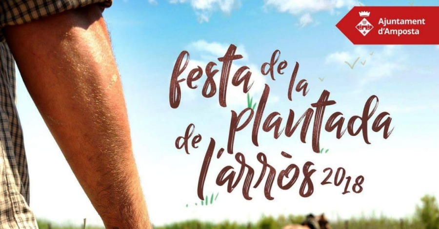 XXIX Festa de la Plantada de lArrs. Amposta 2018