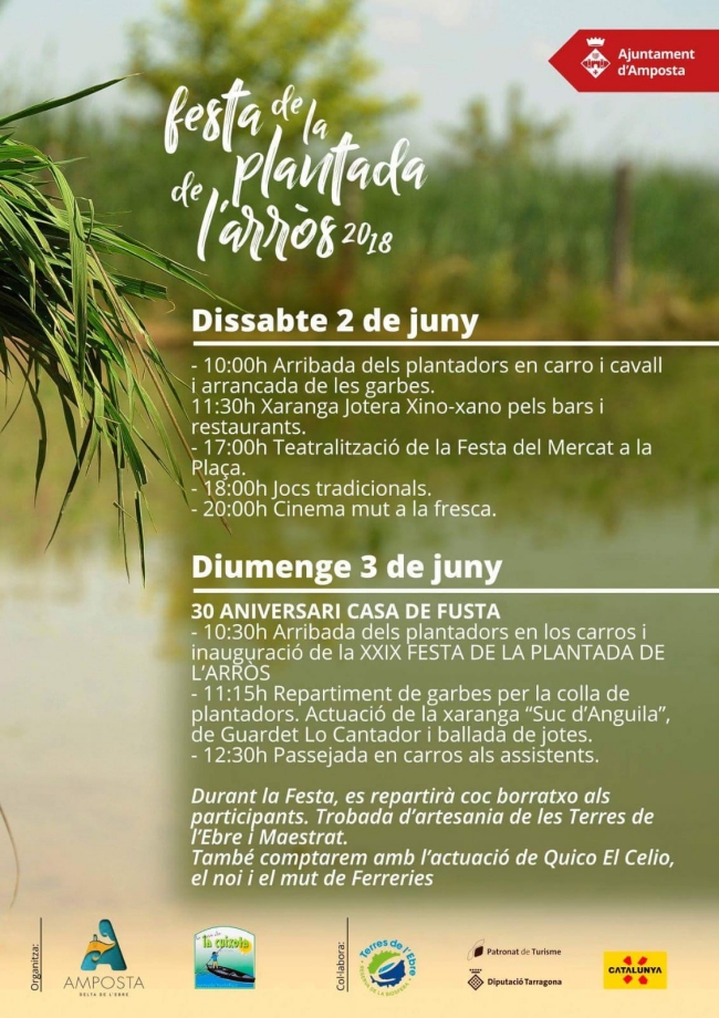 XXIX Festa de la Plantada de lArrs. Amposta 2018