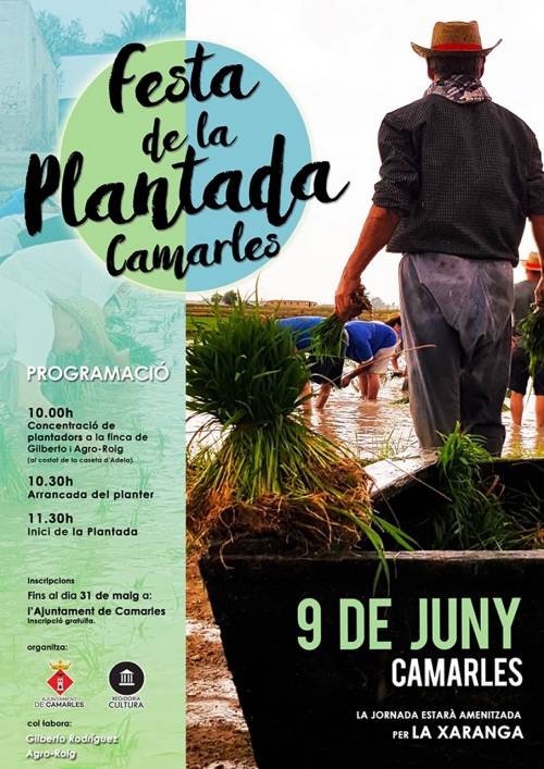 Festa de la Plantada de Camarles