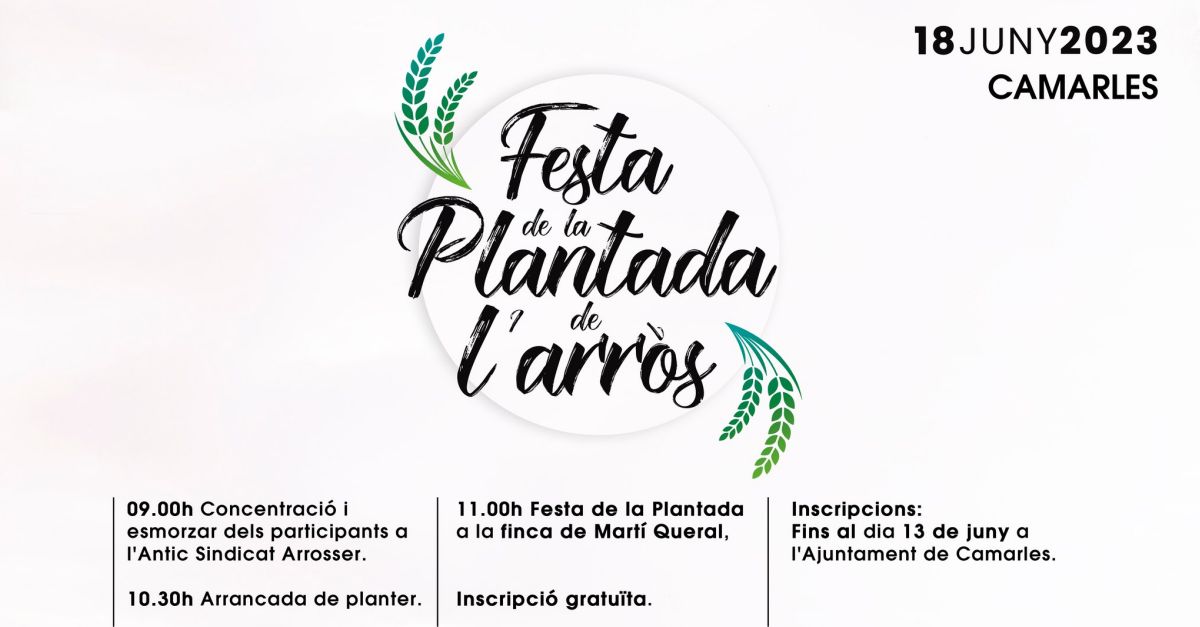 Festa de la Plantada de larrs