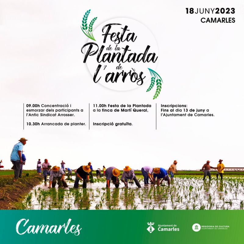 Festa de la Plantada de larrs