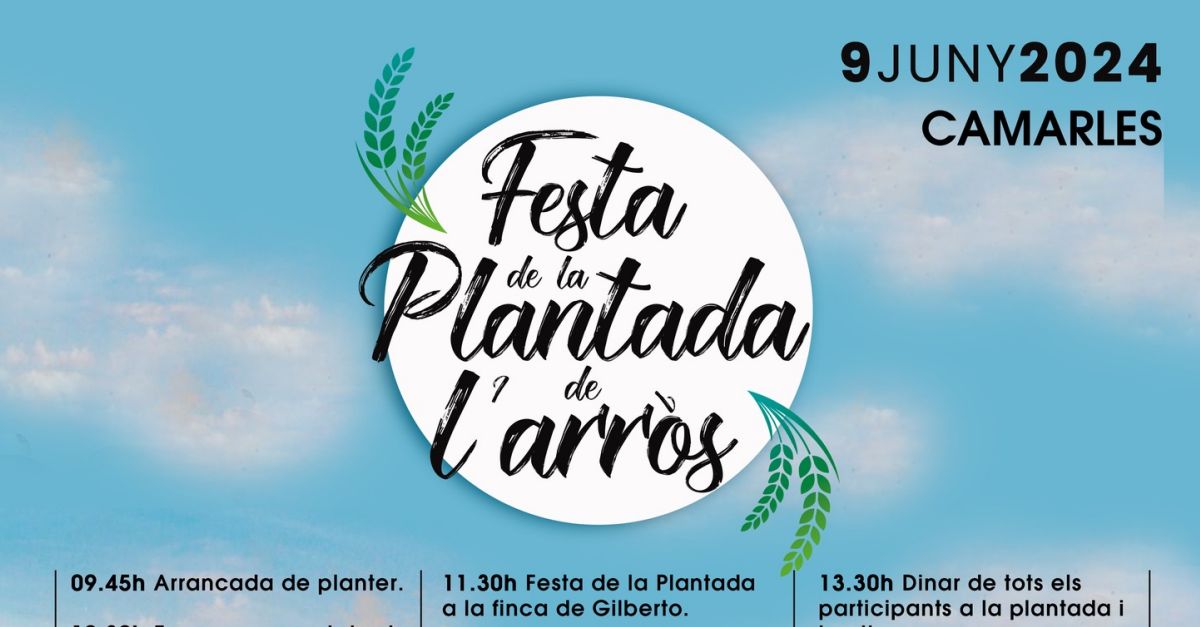 Festa de la Plantada de lArrs 2024 - Camarles