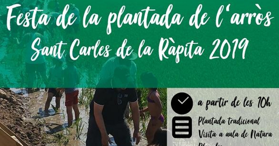 Festa de la Plantada Sant Carles de la Rpita 2019