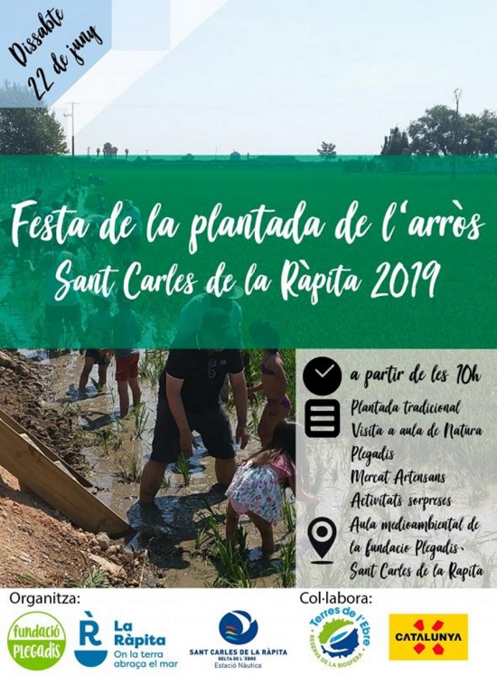 Festa de la Plantada Sant Carles de la Rpita 2019