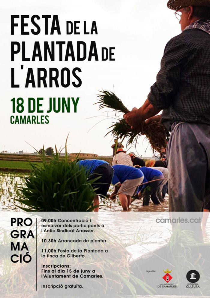 Festa de la Plantada de lArrs de Camarles