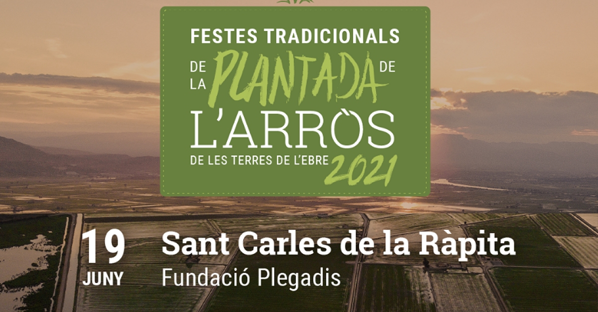 Festa de la Plantada de l’Arrs a La Rpita