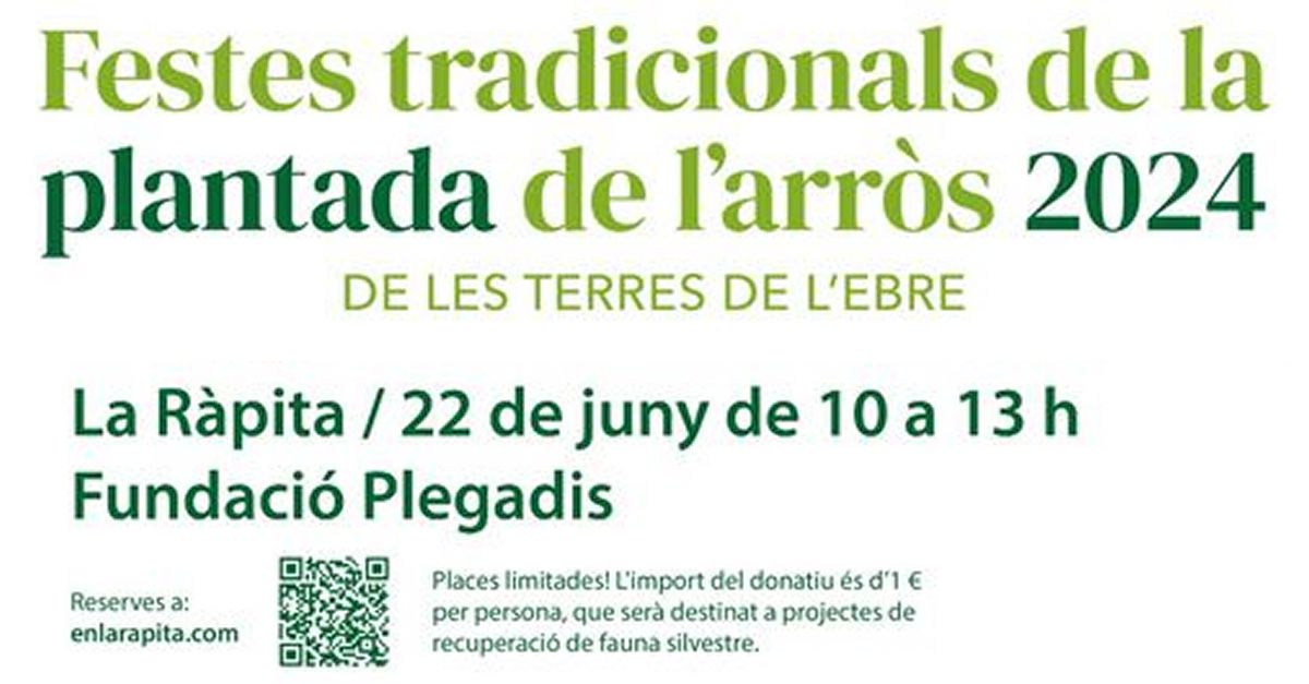 Festa de la Plantada de lArrs 2024 - la Rpita