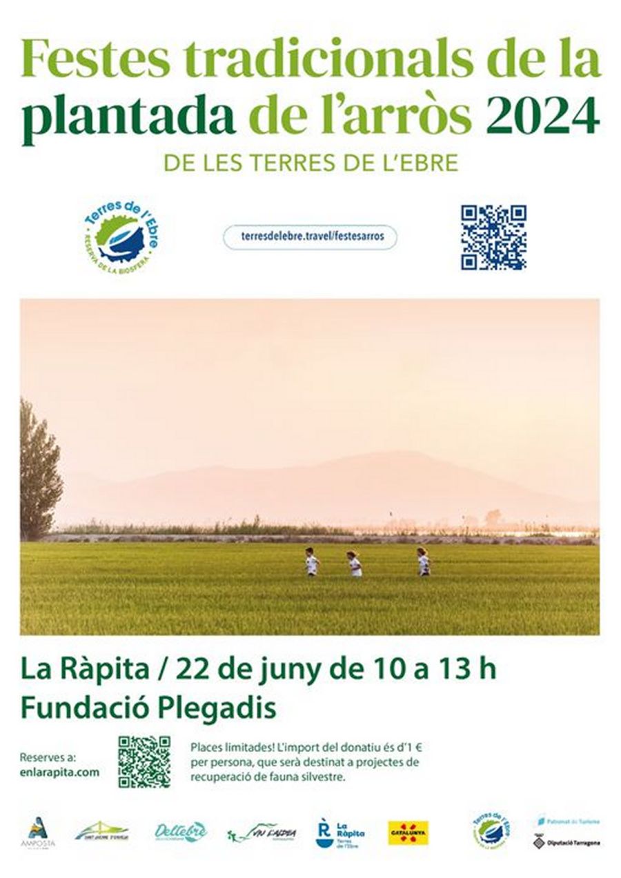 Festa de la Plantada de lArrs 2024 - la Rpita