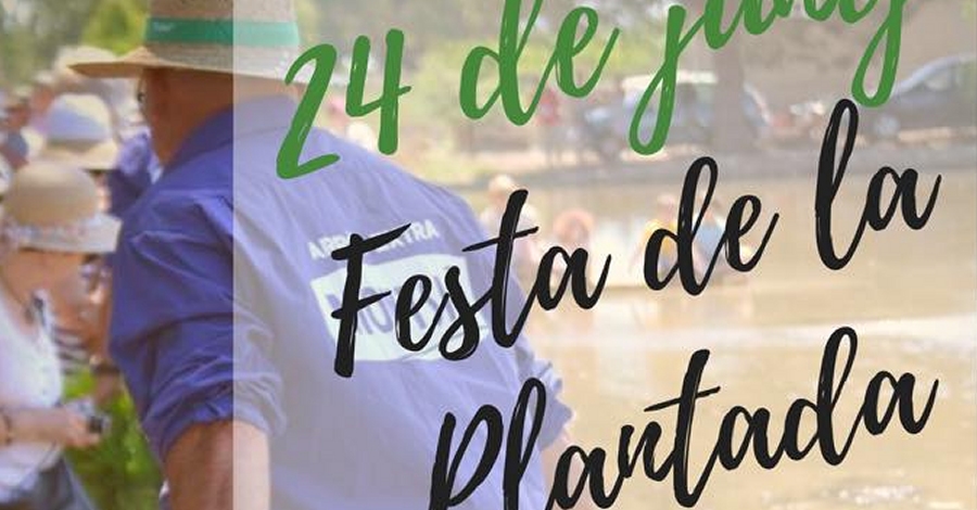 Festa de la Plantada a Sant Jaume dEnveja