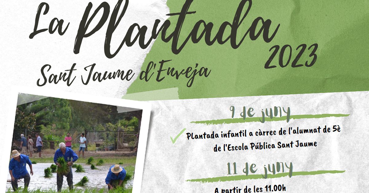 Festa de la Plantada de lArrs 