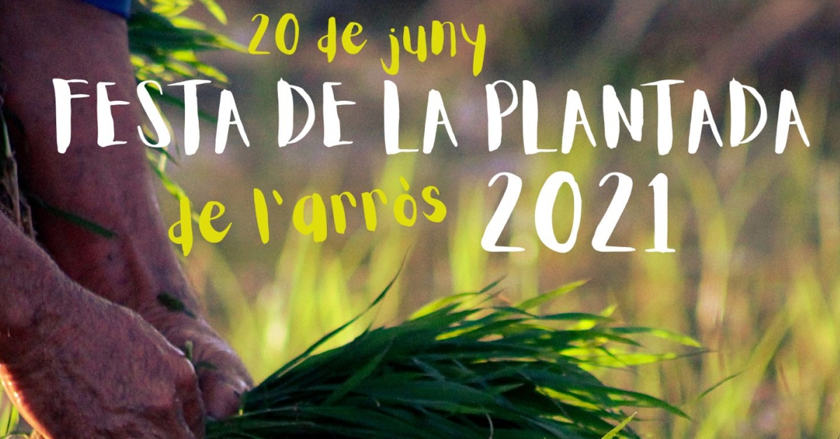 Plantada 2021 Sant Jaume dEnveja