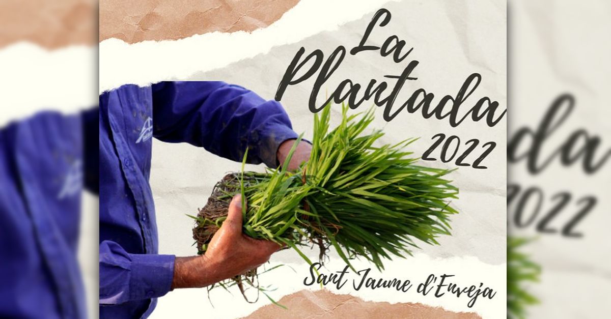 Festa de la Plantada a Sant Jaume dEnveja