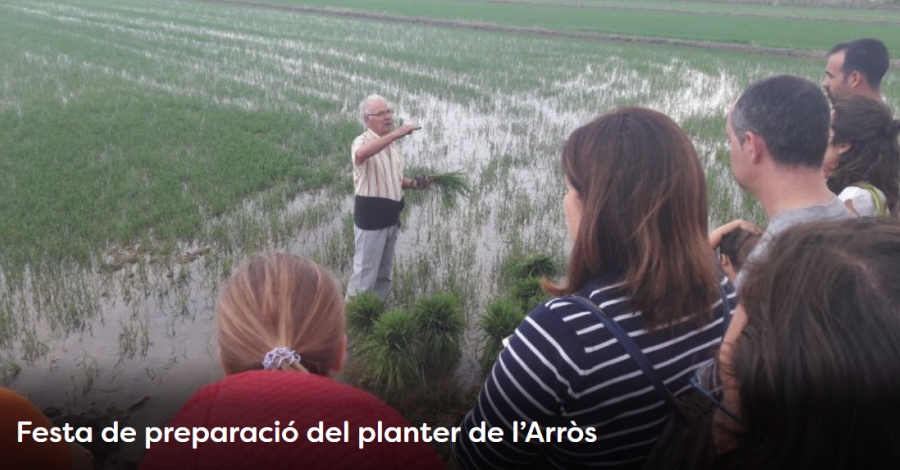 Setmana de la Natura: Fiesta de preparacin del plantel del arroz