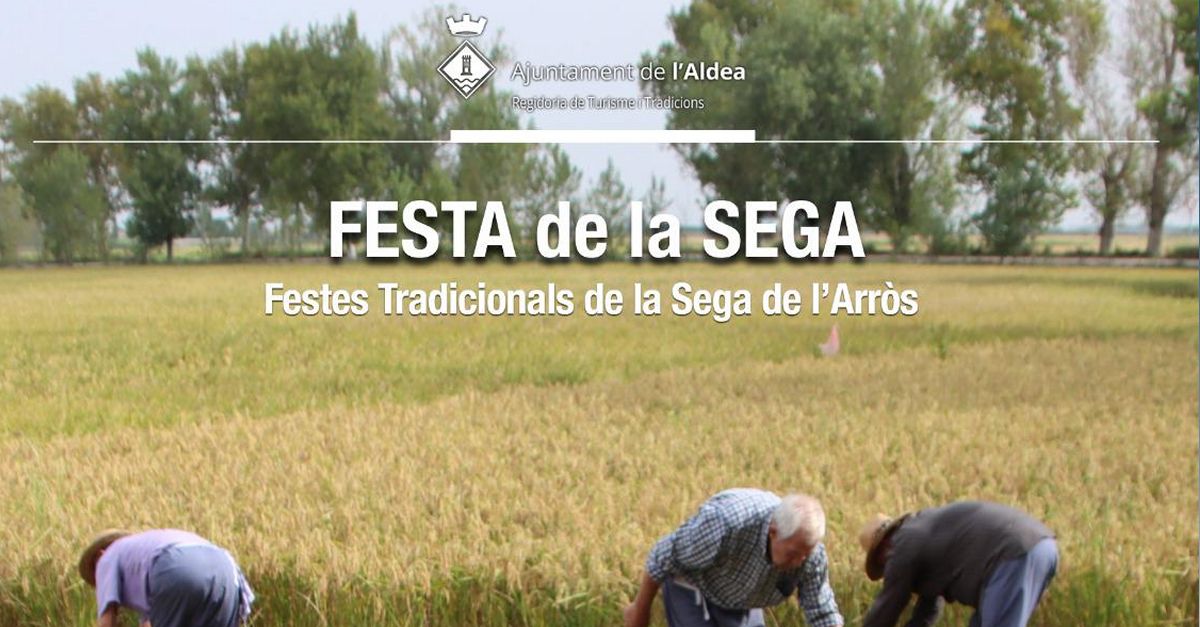 Fiesta de a siega del arroz en LAldea