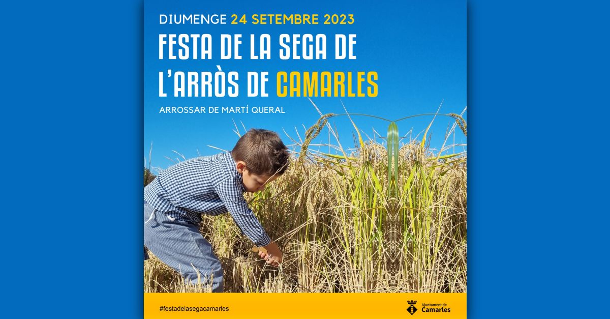 Fiesta de la Siega del Arroz en Camarles