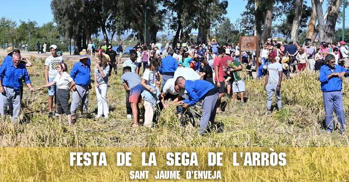 Festa de la Sega de lArrs