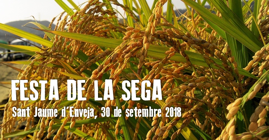 Festa de la Sega Sant Jaume dEnveja