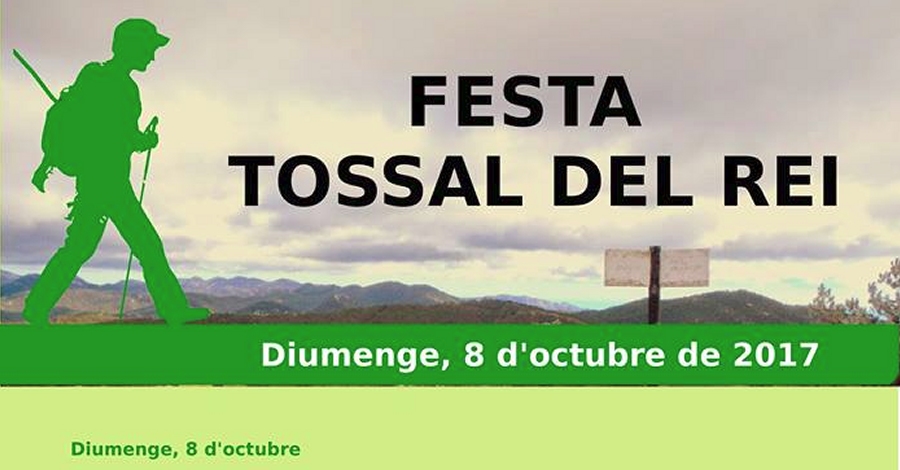 Festa Tossal del Rei