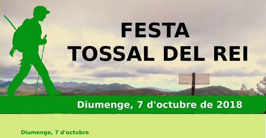 Fiesta del Tossal del Rei