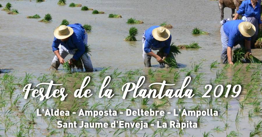 Festa de la Plantada LAmpolla 2019