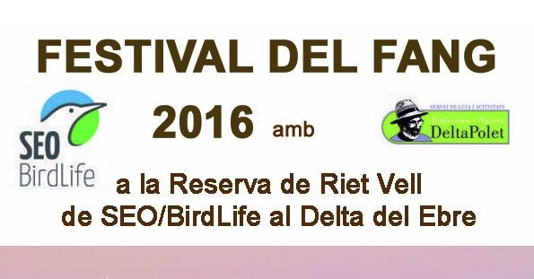 Festival del Fang 2016 a Riet Vell