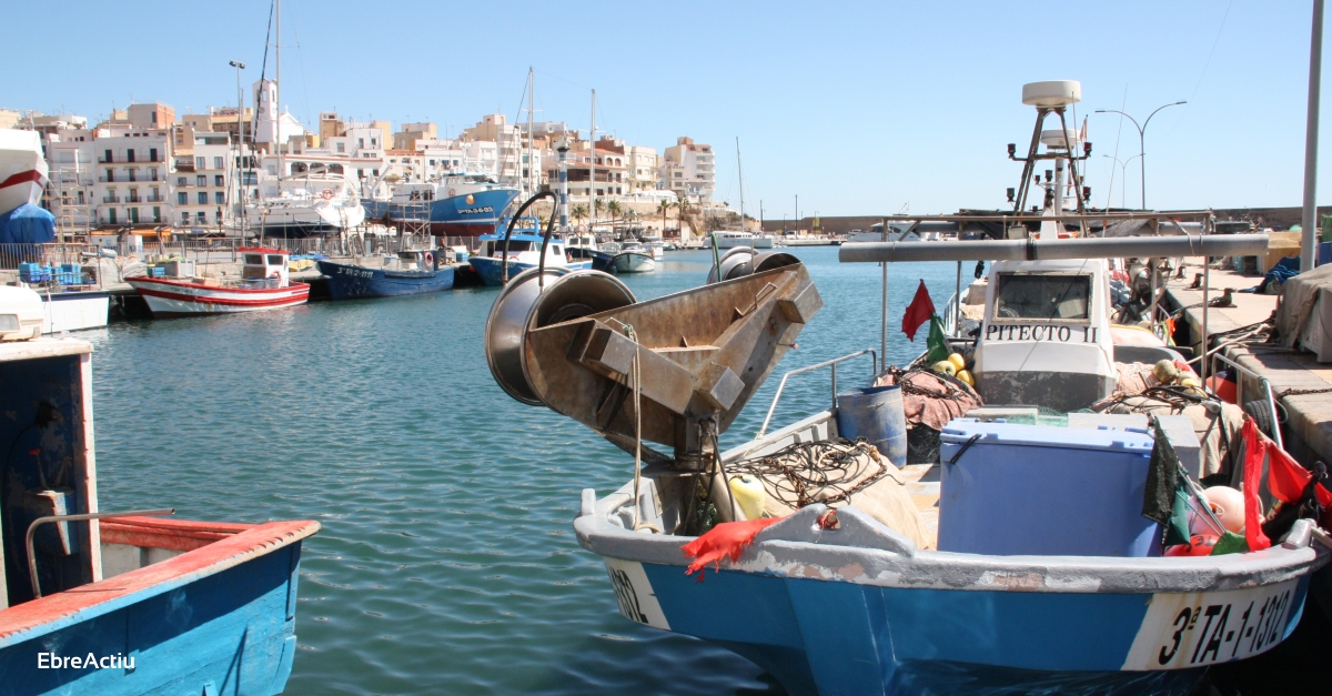 Finalitza la veda per al sector pesquer de l’encerclament de l’Ametlla de Mar | EbreActiu.cat, revista digital d’oci actiu | Terres de l’Ebre ...