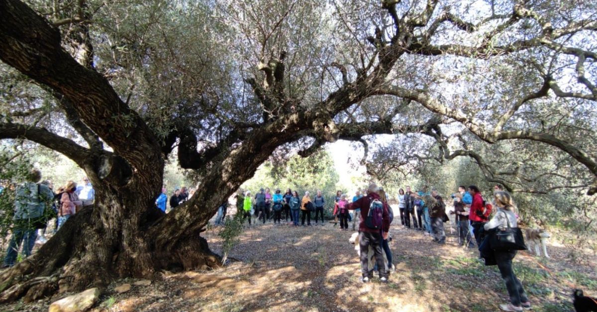 Finalitzen les Jornades Europees del Patrimoni al Territori del Snia amb una gran participaci | EbreActiu.cat, revista digital d’oci actiu | Terres de l’Ebre ...