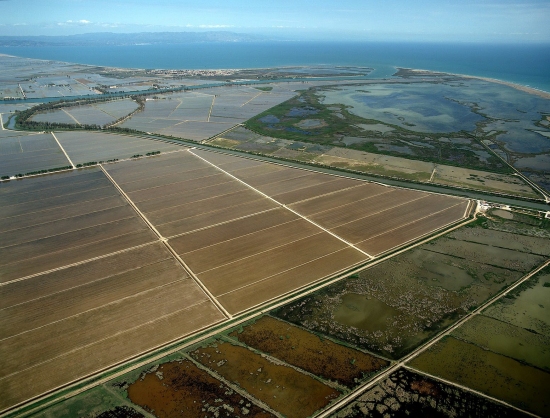 La finca del Viol, al delta de l’Ebre, comptar amb un observatori ornitolgic i itineraris per gaudir de les aus i del paisatge | EbreActiu.cat, revista digital d’oci actiu | Terres de l’Ebre ...