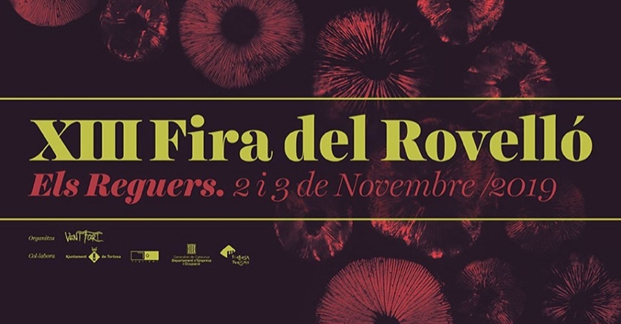 XIII Fira del Rovell