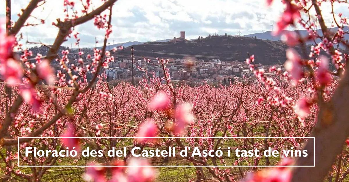 Floraci des del Castell dAsc i tast de vins