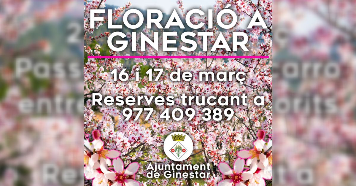 Floracin en Ginestar: paseos en carro entre los rboles floridos