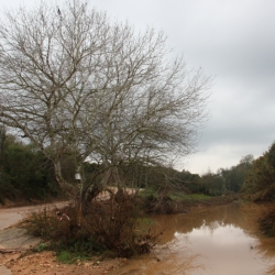 10 anys de la Cursa i Caminada de Masdenverge